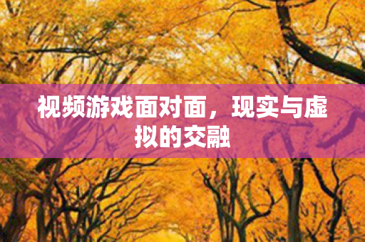 现实与虚拟的交融图片