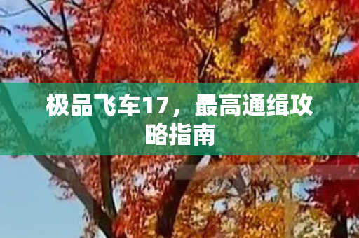 最高通缉攻略指南图片