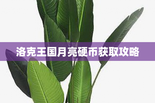 洛克王国月亮硬币获取攻略图片