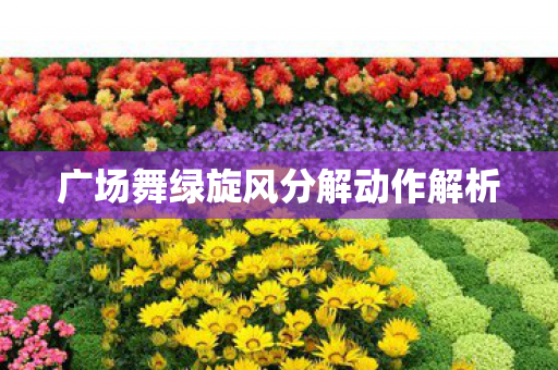 广场舞绿旋风分解动作解析图片