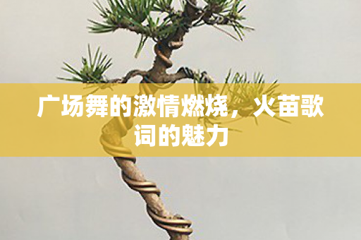 广场舞的激情燃烧图片