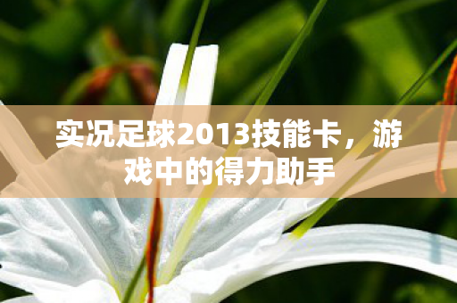 实况足球2013技能卡图片