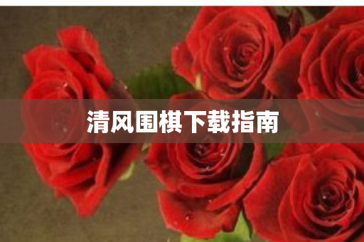 清风围棋下载指南图片