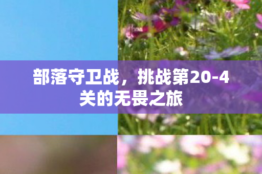 4关的无畏之旅图片