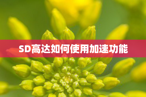 SD高达如何使用加速功能图片