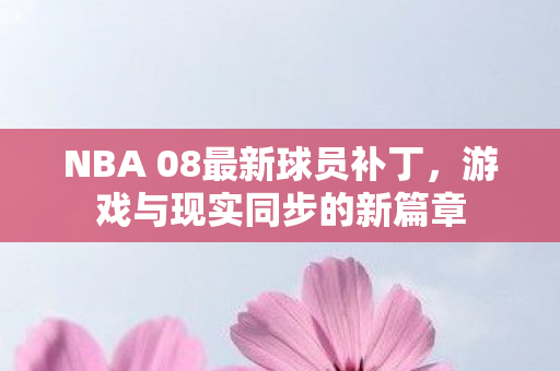 NBA 08最新球员补丁图片