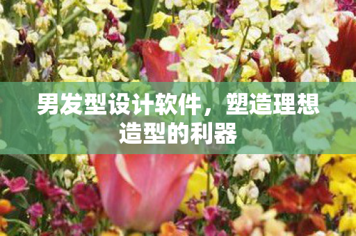 塑造理想造型的利器图片