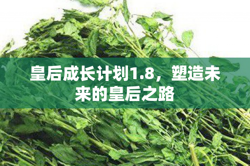 塑造未来的皇后之路图片