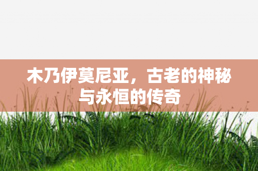 古老的神秘与永恒的传奇图片