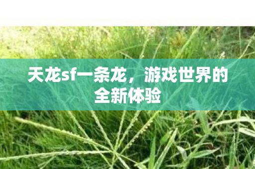 游戏世界的全新体验图片