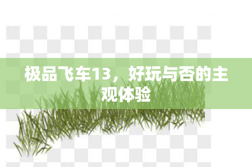 好玩与否的主观体验图片