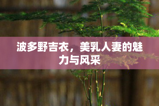 美乳人妻的魅力与风采图片