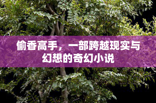 一部跨越现实与幻想的奇幻小说图片