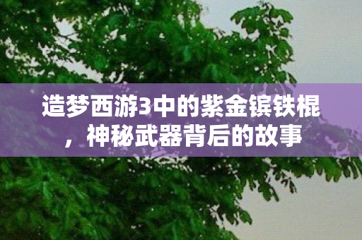 造梦西游3中的紫金镔铁棍图片