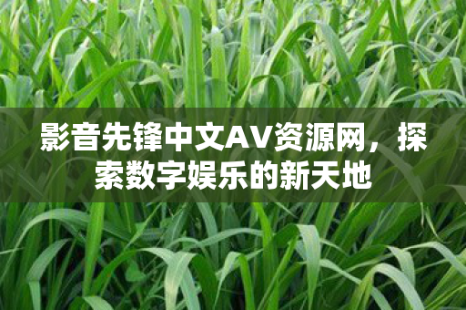 影音先锋中文AV资源网图片