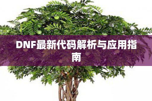 DNF最新代码解析与应用指南图片