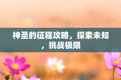 神圣的征程攻略图片