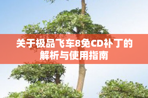 关于极品飞车8免CD补丁的解析与使用指南图片