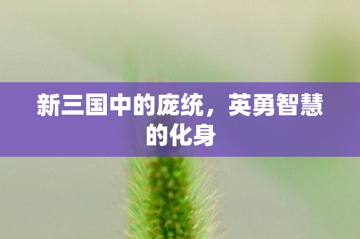 新三国中的庞统图片