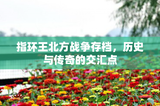 指环王北方战争存档图片