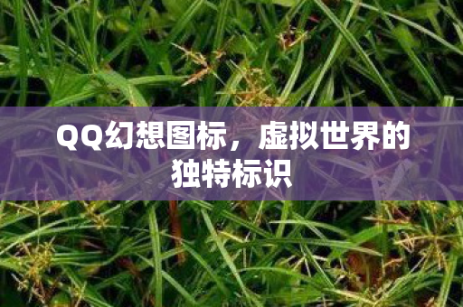 虚拟世界的独特标识图片