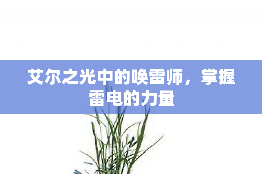 艾尔之光中的唤雷师图片