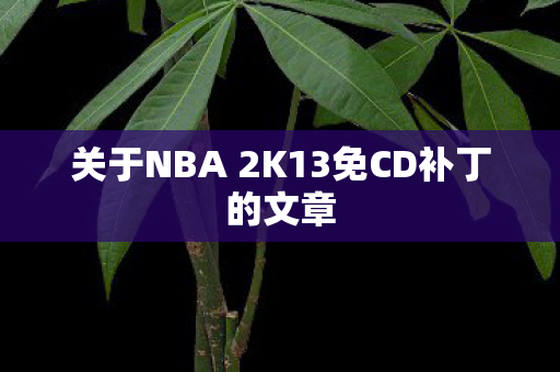 关于NBA 2K13免CD补丁的文章图片