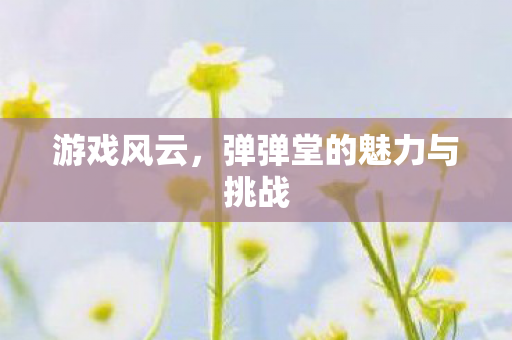 弹弹堂的魅力与挑战图片