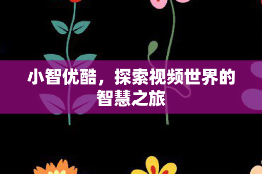 探索视频世界的智慧之旅图片