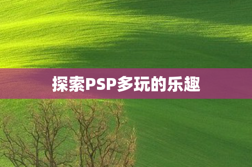 探索PSP多玩的乐趣图片