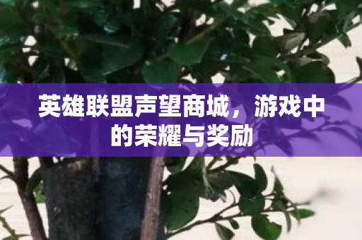 游戏中的荣耀与奖励图片