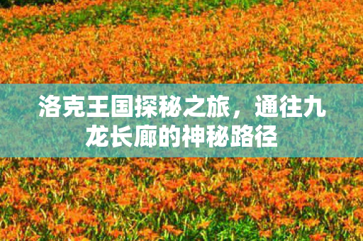 通往九龙长廊的神秘路径图片