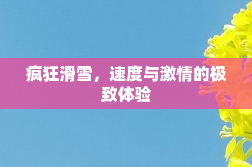 速度与激情的极致体验图片