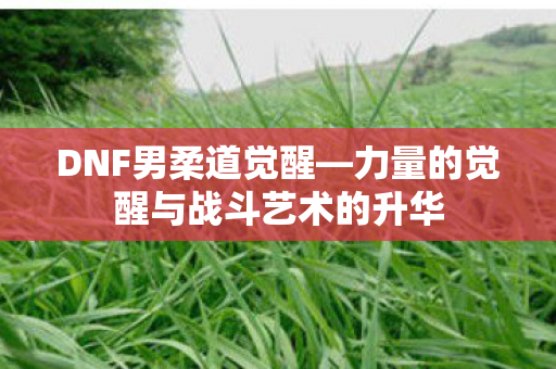 力量的觉醒与战斗艺术的升华图片