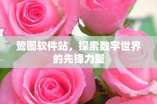 探索数字世界的先锋力量图片
