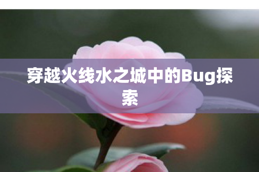 穿越火线水之城中的Bug探索图片