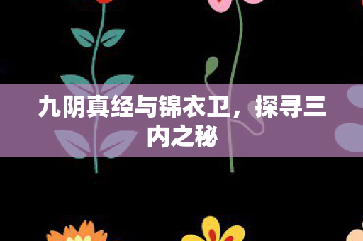 九阴真经与锦衣卫图片