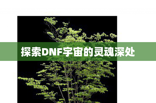 探索DNF宇宙的灵魂深处图片