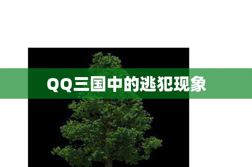 QQ三国中的逃犯现象图片