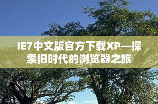 IE7中文版官方下载XP图片