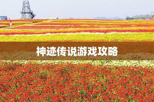 神迹传说游戏攻略图片