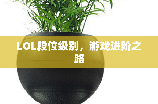 LOL段位级别图片