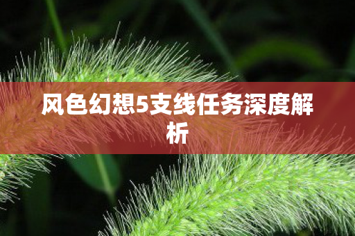风色幻想5支线任务深度解析图片