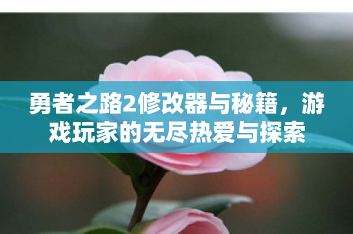 游戏玩家的无尽热爱与探索图片