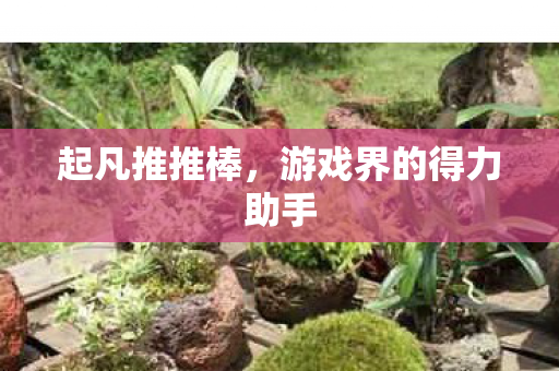 游戏界的得力助手图片