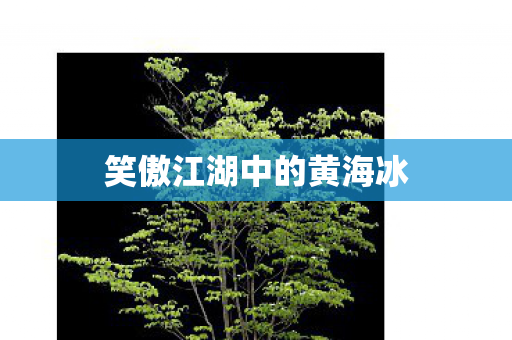 笑傲江湖中的黄海冰图片
