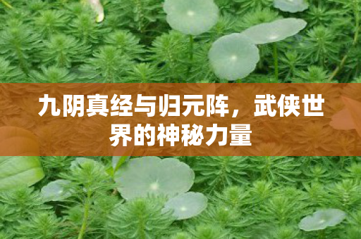 武侠世界的神秘力量图片