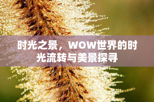 WOW世界的时光流转与美景探寻图片