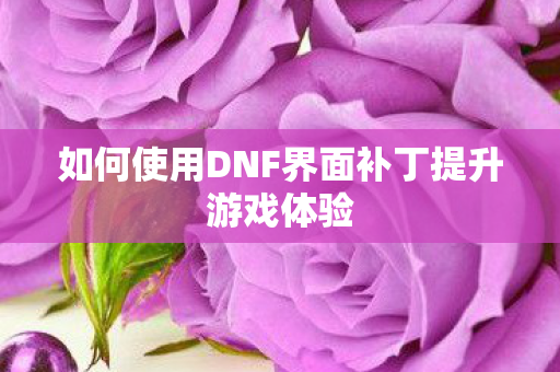 如何使用DNF界面补丁提升游戏体验图片