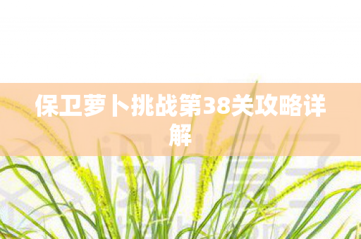保卫萝卜挑战第38关攻略详解图片